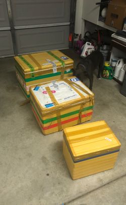 TRAVEL STYROFOAM BOXES