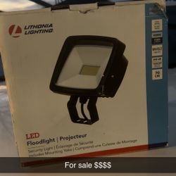Led Floodlights 