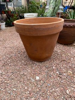Terra Cotta Pot