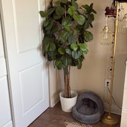 Faux Fiddle Leaf Fig