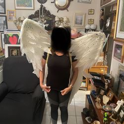 Disfraz De Alas De Ángel