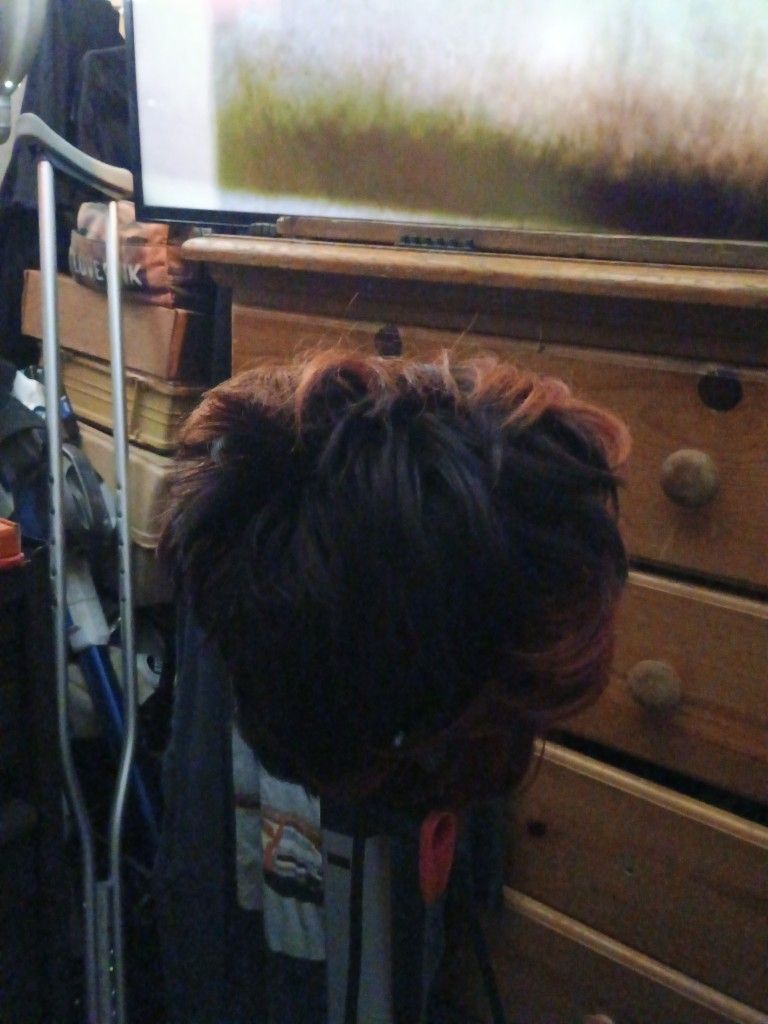Short Hair Wig .