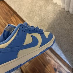 Nike Dunks Sz 13