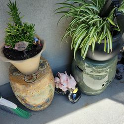 Plant sale !!!!! Open now