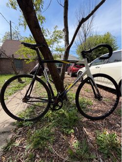 Ridley Arena carbon frameset