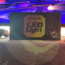 LED Light