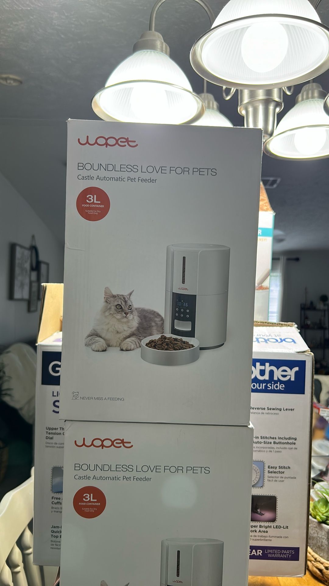 Automatic pet Feeder