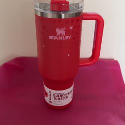 Red Valentines Day Stanley Cup