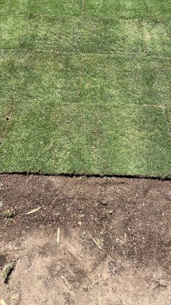 Grass  2 feet wide 4 ft long new 30 pices