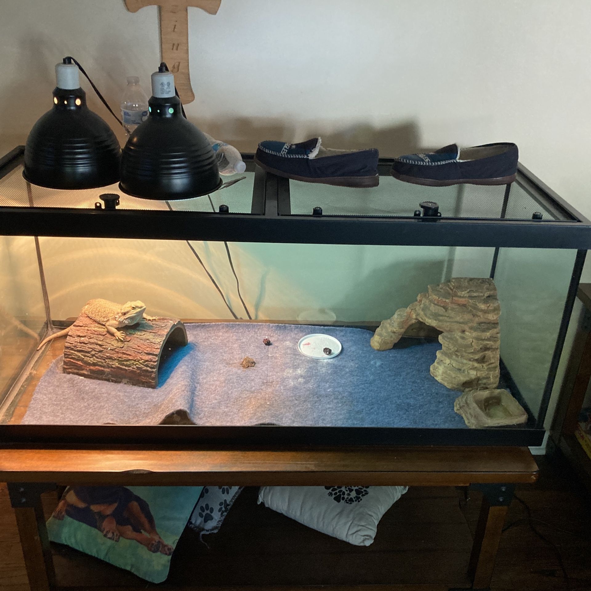 Reptile tank