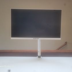 Sceptre 24 inch Gaming Monitor 1080p 98% sRGB up to 165Hz 1ms 320Lux DisplayPort HDMI, Build-in Speakers Nebula White 2022 (E248B-FWN168W)