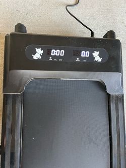 Dog treadmill