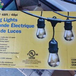 NIB Feit Electric  Indoor/Outdoor 48' String Lights 