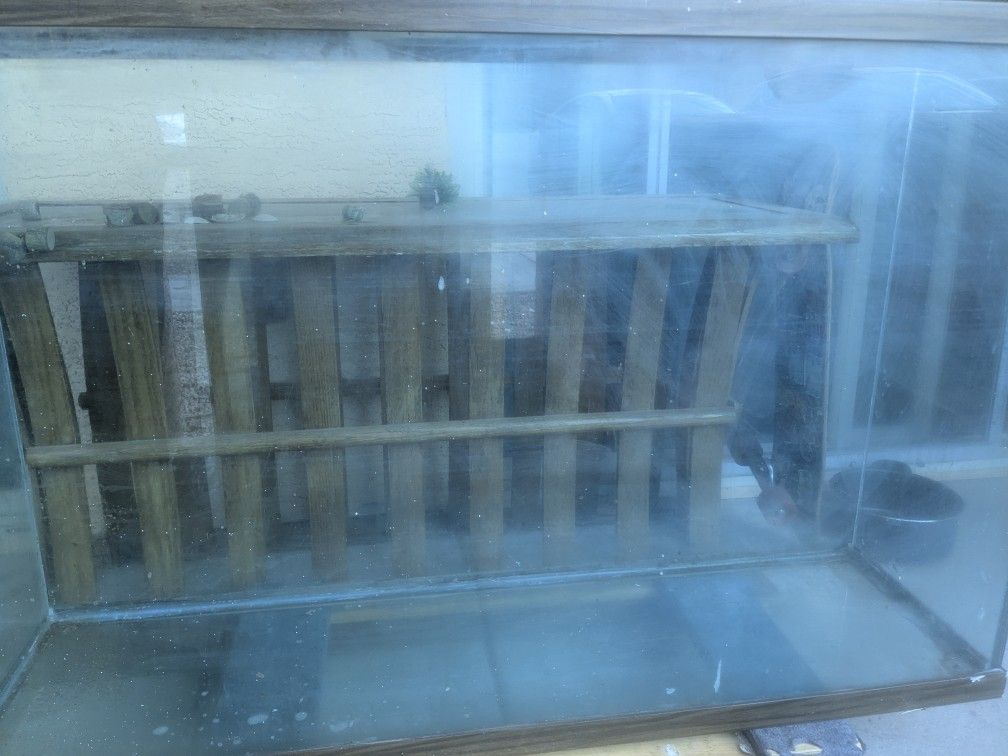 100 Gallon Aquarium
