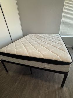 Queen  Molibus 12 inch mattress and a bed frame
