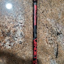 Baitcasting/Spinning Rods (5)