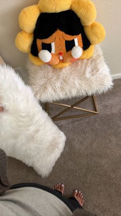 Fur Chair And Fur Pillow $15 Both. 