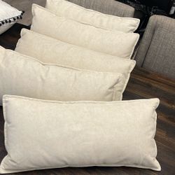 5 Throw Pillows 