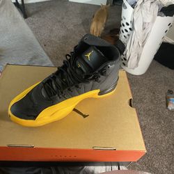 8.5 Black And Yellow Jordan 12s 
