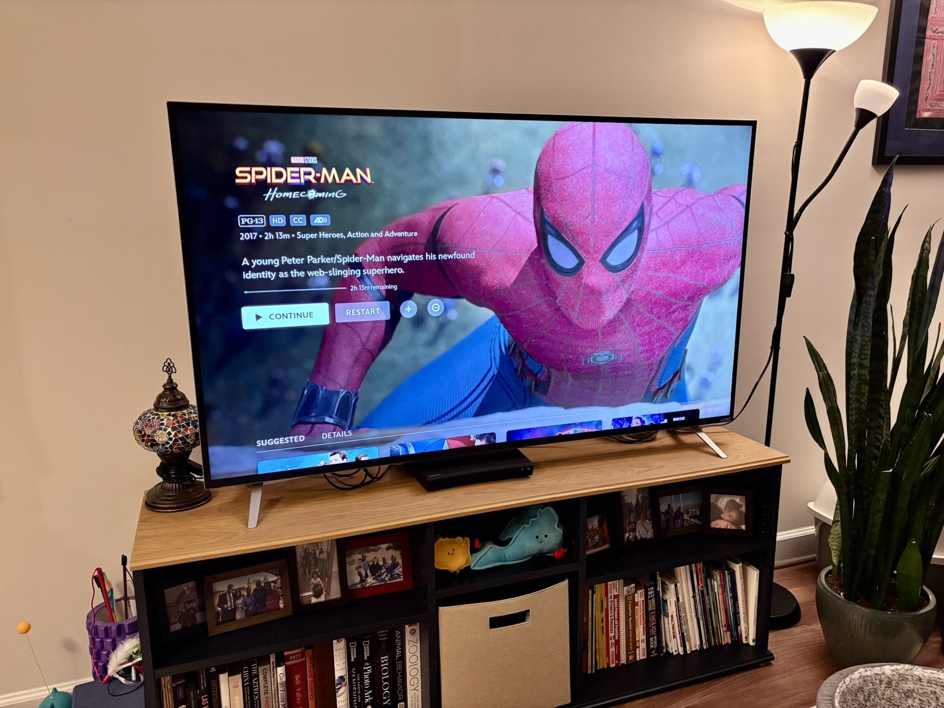 Vizio 53" 4K TV