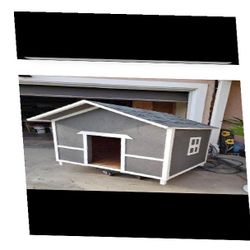 under reflect Create the Perfect Dog Home - Fashion and Comfort Joined