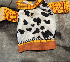 Woody Pet costume