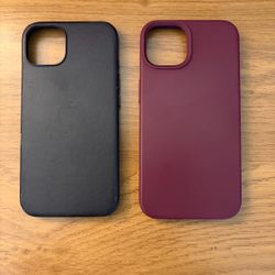 iPhone 13 Cases
