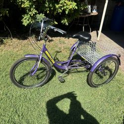 2 Tricycles And 1 Bicycle For Sale 