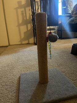 Cat Scratch Post