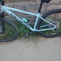Specialized 29er