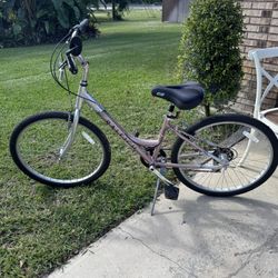 Women’s Raleigh Bicycle 26” Rims With Cloud 9 Seat