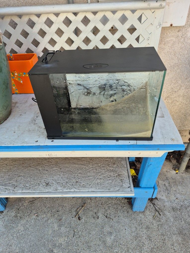 3 Gallon Aquarium