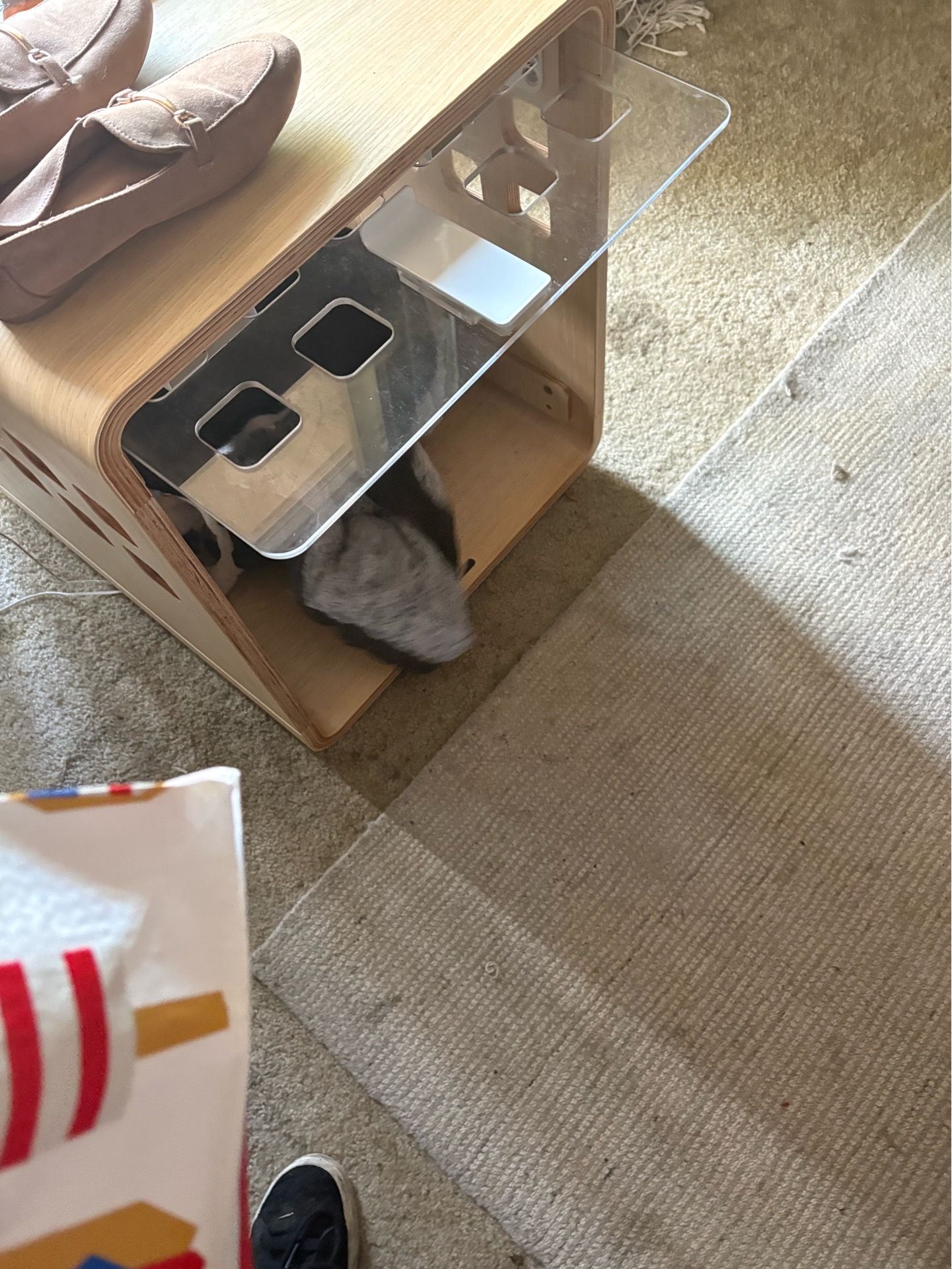 Nice medium crate and bed for medium dogs