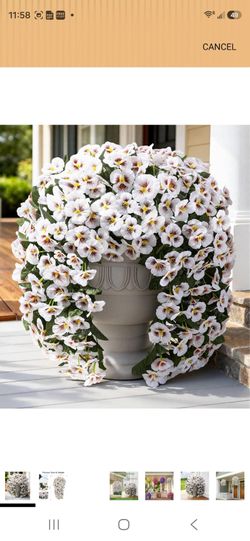 Artificial Flowers for Outdoors, 2pcs Faux Silk Pansies Flowers UV Resistant Fake Hanging Flower Plants for Outside Planters Porch Yard Patio Window B
