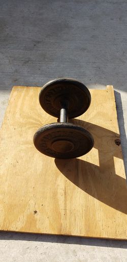 10lb dumbell weights