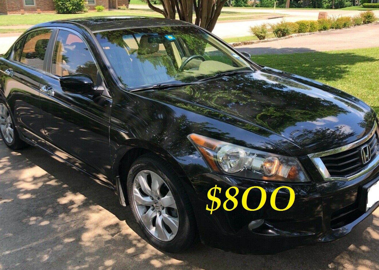 💝✅$8OO URGENT I sell my family car 2OO9 Honda Accord EX-L Everything is working great!💕💝 Runs great and fun to drive!!🟢🎁