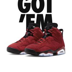 Jordan 6 Toro