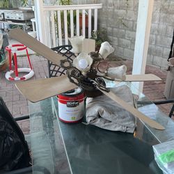 Ceiling Fan