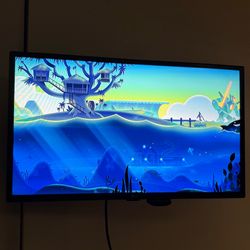 LG 28" LED HDTV Television.