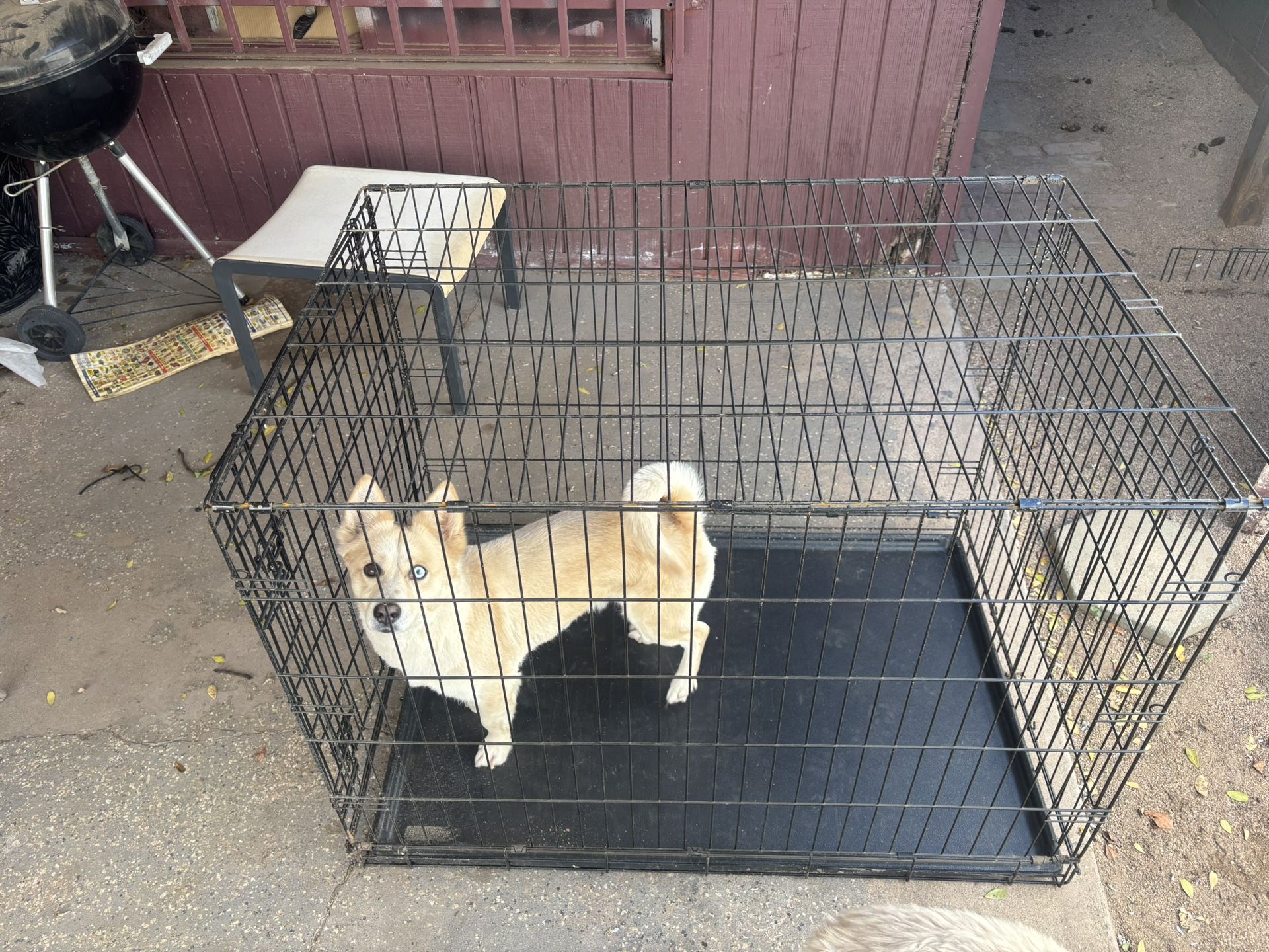 Dog Crate