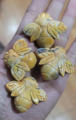 Bumble bee Jasper BEES from Indonesia