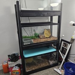 Reptile Tanks 40 Gal