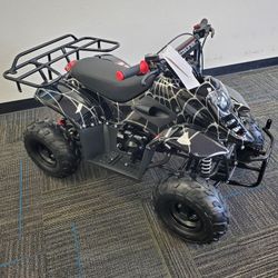 110cc Kids ATV for sale in Sacramento—brand new, fully assembled, affordable, and equipped with safety features.