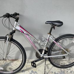 Schwinn connect hotsell