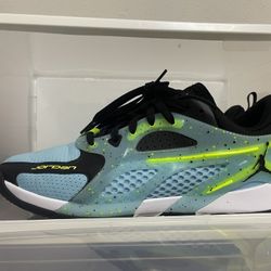 Jordan Size 11