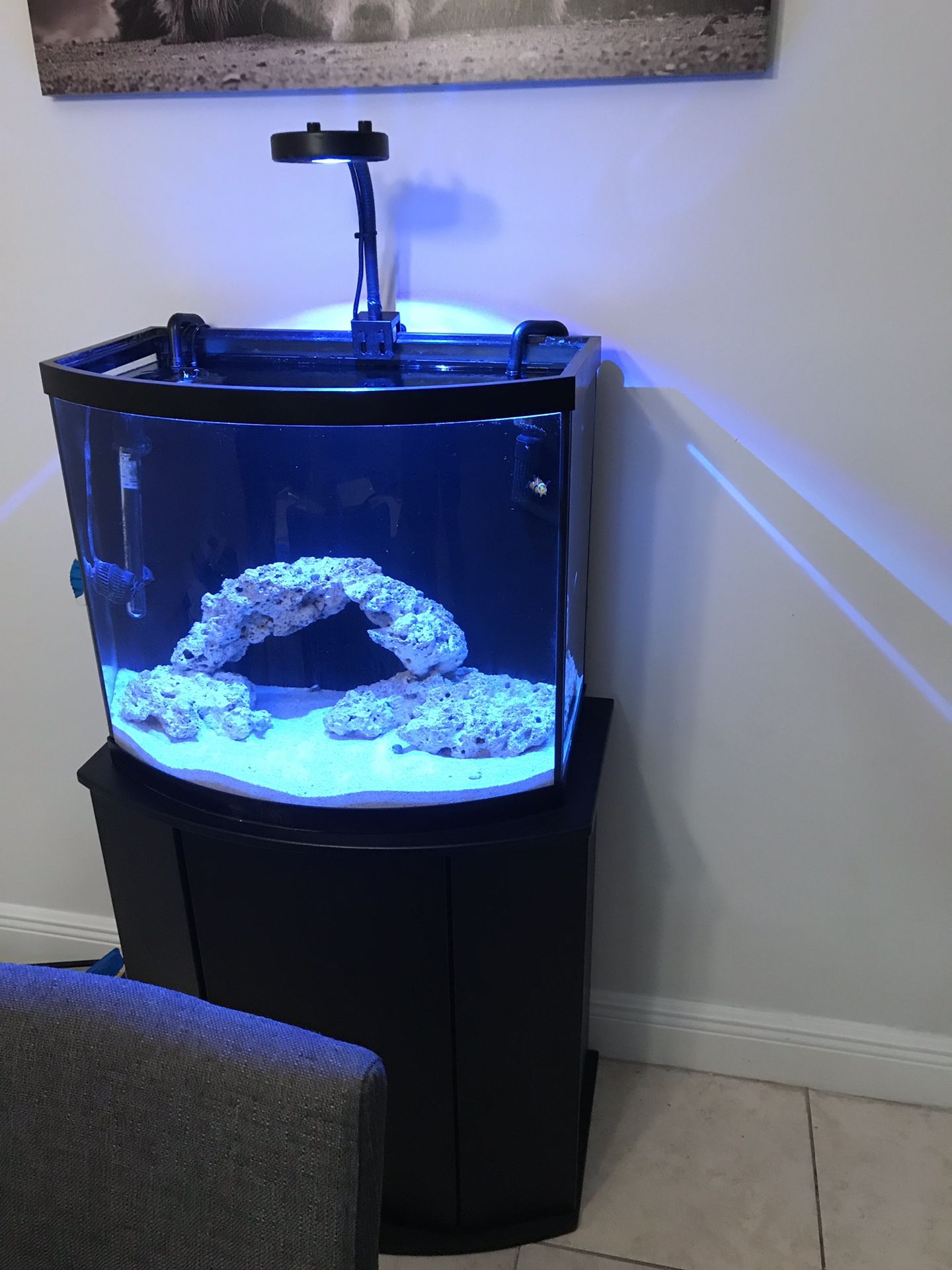 Saltwater tank