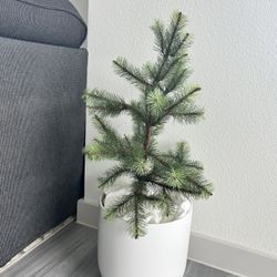 Fake Small Tree/plant 