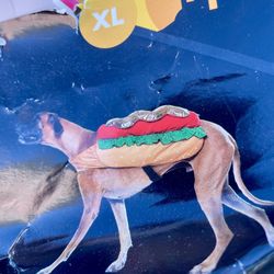 Dog Costume XL
