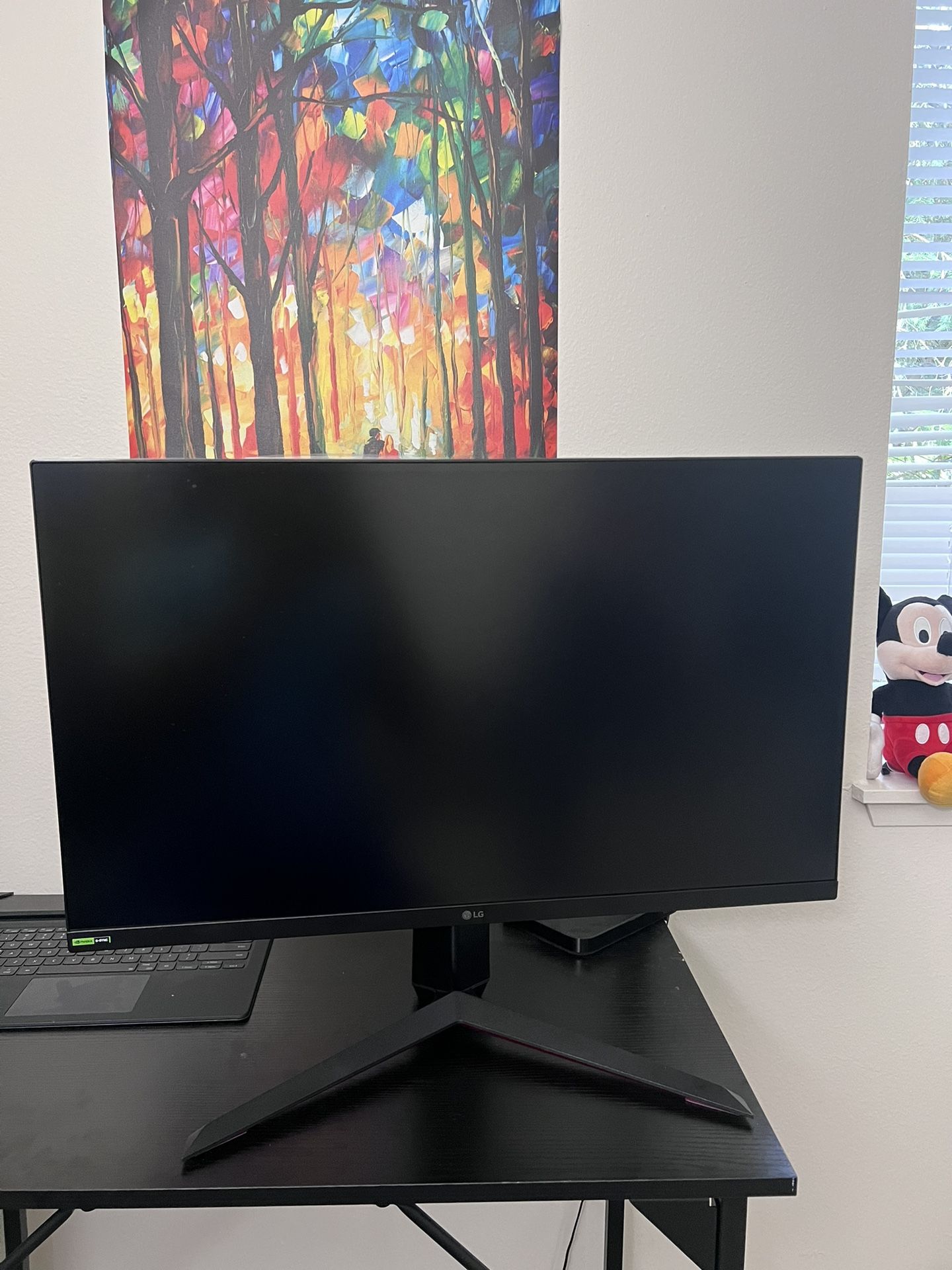 LG Ultragear 27 Inch 240hz gaming Monitor
