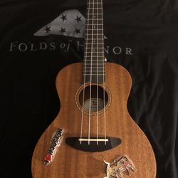 Ukulele For Beginner 